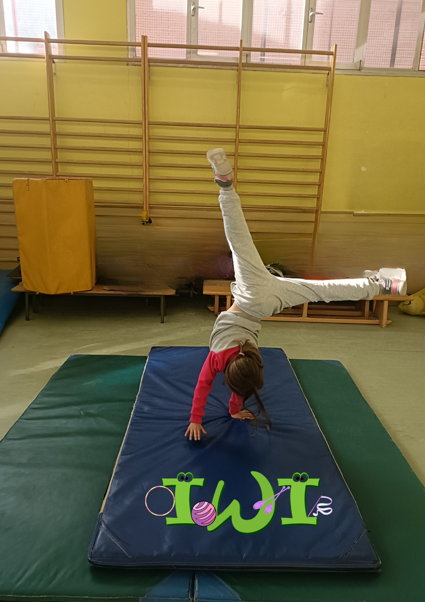 HABILIDADES GIMNÁSTICAS